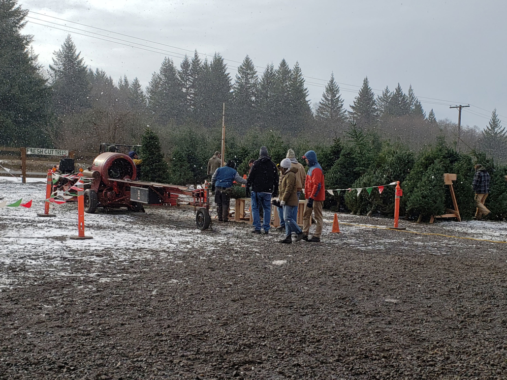 U Cut Christmas Tree Farms Near Me: Klopman Farms in Washougal, WA $24.99!